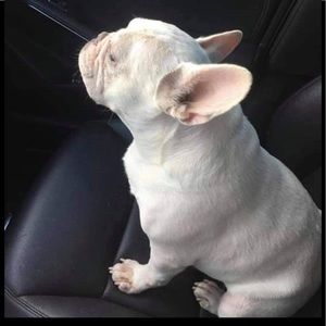 Meet your Posher, Natalie